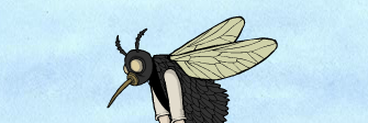Flies Walkthrough